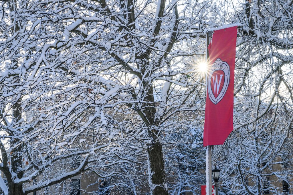 Snow-covered trees behind a red UW–Madison W crest banner as sunlight shines through the branches.